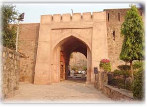 हरियाणा के इतिहास का जीवंत दर्शन करवाते हिसार के किले (Fort of Hisar)