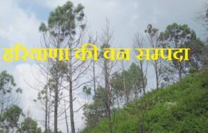 हरियाणा की वन सम्पदा(Forest Wealth of Haryana)