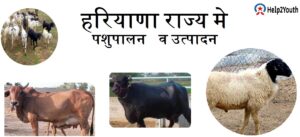 हरियाणा मे पशुपालन सम्बंधित हरियाणा GK(Animal Husbandry of Haryana GK)