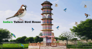 India's Tallest Bird House