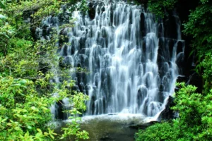 Elephant Falls Shillong Location Timings Entry Fee