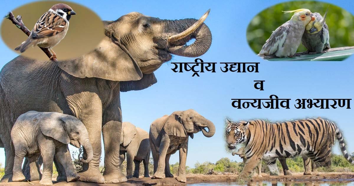 हरियाणा वन्यजीव अभ्यारण, प्रजनन केंद्र व राष्ट्रीय उद्यान 3 हरियाणा के वन्यजीव अभ्यारण , प्रजनन केंद्र व राष्ट्रीय उद्यान