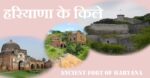 प्राचीन इतिहास का दर्शन करवाते हरियाणा के किले (Ancient Famous Fort of Haryana)