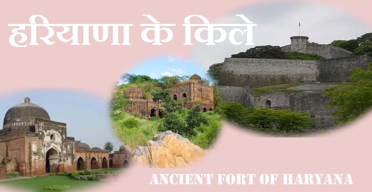 प्राचीन इतिहास का दर्शन करवाते हरियाणा के किले (Ancient Famous Fort of Haryana) 1 प्राचीन इतिहास का दर्शन करवाते हरियाणा के किले (Ancient Famous Fort of Haryana)