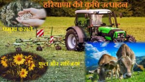 हरियाणा की कृषि, प्रमुख फसले, फल व सब्जियाँ (Agriculture Production of Haryana)