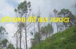हरियाणा की वन सम्पदा(Forest Wealth of Haryana)