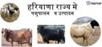 हरियाणा मे पशुपालन सम्बंधित हरियाणा GK(Animal Husbandry of Haryana GK)