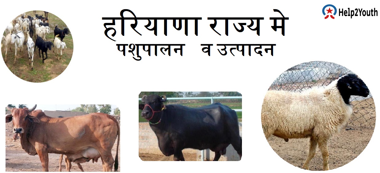 हरियाणा मे पशुपालन सम्बंधित हरियाणा GK(Animal Husbandry of Haryana GK) 7 हरियाणा मे पशुपालन सम्बंधित हरियाणा GK(Animal Husbandry of Haryana GK)