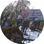 भारत का पहला क्रिप्टोगैमिक उद्यान(First Cryptogenic Garden of India)