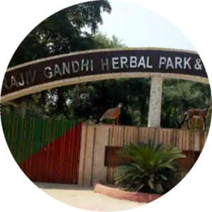 circle cropped 2021 08 08T082603.191